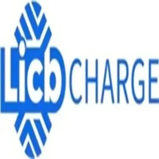 شاحن سيارات كهربائية AC DC من شركة لينتش بي - الصين