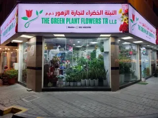 ذا جرين بلانت فلاورز ش.ذ.م. م