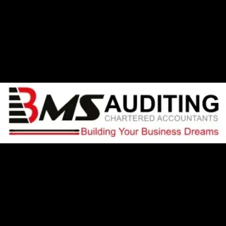 BMS للتدقيق