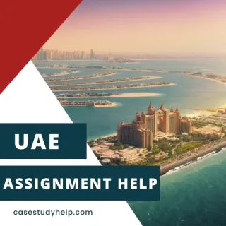 مساعدة المهام في الإمارات العربية المتحدة - مساعدة في دراسة الحالة