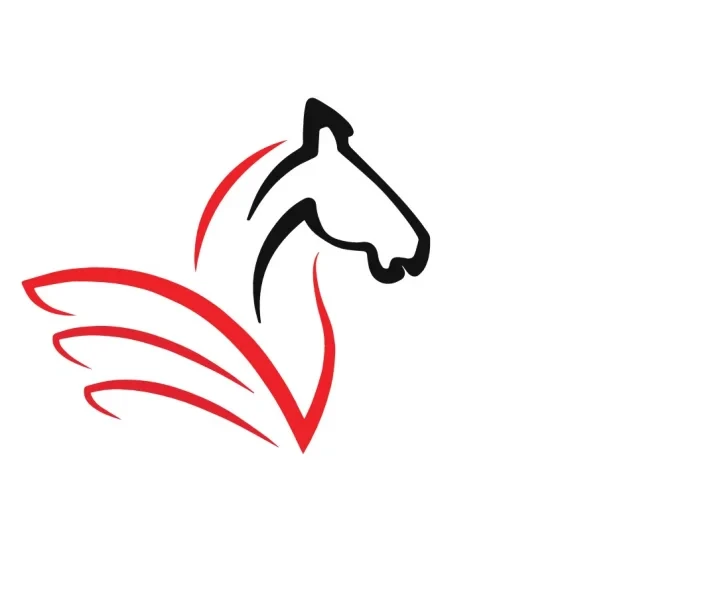 Tulpar global taxation