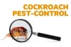 # Organic Pest Treatment – Low Cost in Dubai